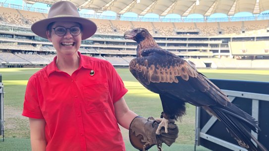 Happy “bird nerd” Dr Ann Jones with a wedged-tail eagle in The Secret Life of Urban Birds: Perth.