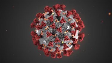 An illustration of the 2019 novel coronavirus provided by the US Centres for Disease Control and Prevention.