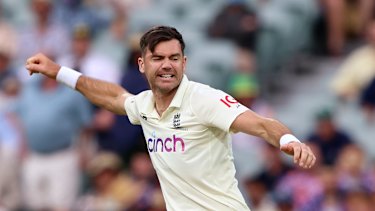 Anderson celebrates taking the wicket of Steve Smith. 