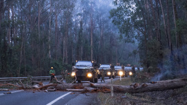 Australian Defence Force troops and members of Forest Fire Management Victoria clear felled trees on the Princes Highway just outside Genoa. 