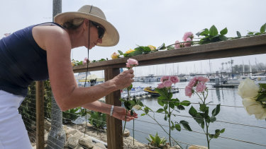 Local resident Maya Upton places flowers at outside of the Sea Landing at Santa Barbara Harbour on Monday.
