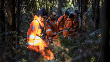 SES volunteers searching thick bushland for William Callaghan.