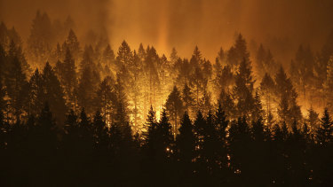 The fire burned for two months and spread to more than 19,000 hectares.