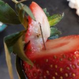 A photo of a contaminated strawberry posted to social media. 