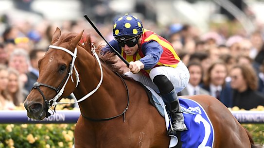 Nature Strip has been crowned Australian horse of the year.