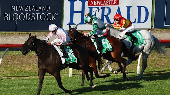 Racing returns to Newcastle on Thursday.