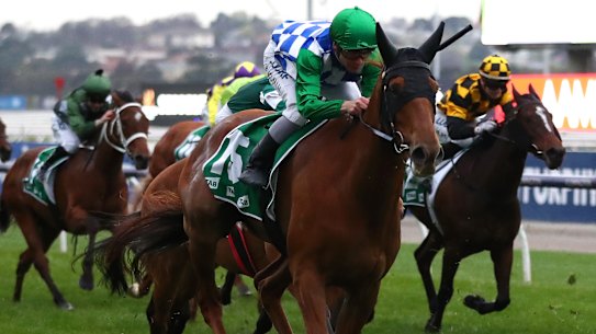 Jockey Ben Melham rides Moonlight Maid to win race 9 the Edward Manifold Stakes at Flemington.