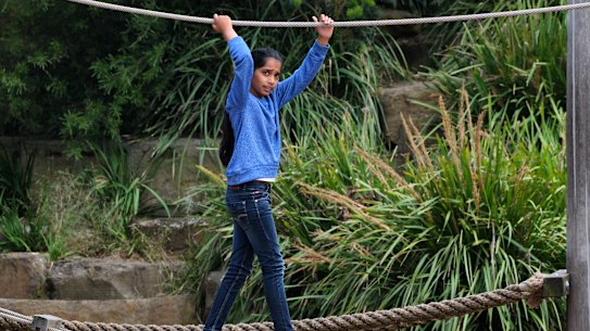 Nine-year-old Hassan Arshad at the Royal Park Nature Playground. 