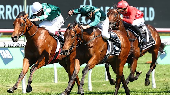 Espionage gets over the top of stablemate Straight Charge in the Breeders’ Plate at Randwick in September.
