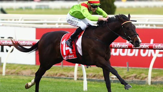 Begood Toya Mother won the Rupert Clarke Stakes. 