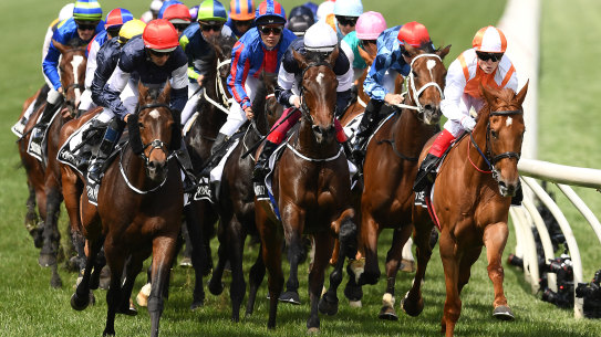 Vow And Declare, with jockey Craig Williams, far right, leads on the barrier. 