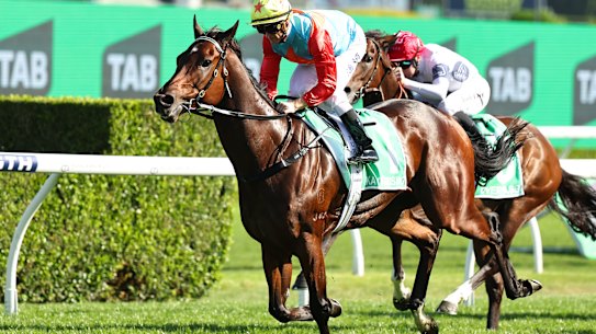 Tabcorp’s rejuvenation of its physical betting presence was evident at Sydney’s Everest race last weekend.