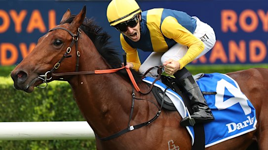 Jockey Jason Collett.