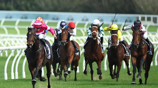 Racing returns to Coffs Harbour on Sunday.