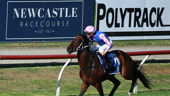 Midweek racing is back at Newcastle on Wednesday.