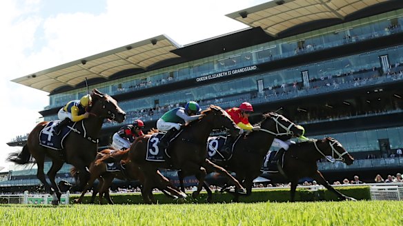 They’re racing at Randwick on Saturday.