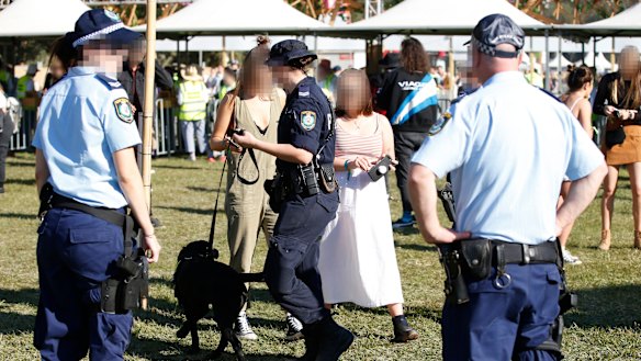A police sniffer dog inspects revellers at a NSW music festival.