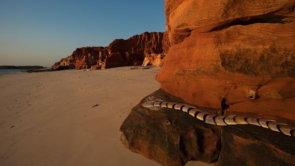 Garry Sibosado's Aalingoon (Rainbow Serpent) at Kooljaman Beach, part of the Desert River Sea exhibition.