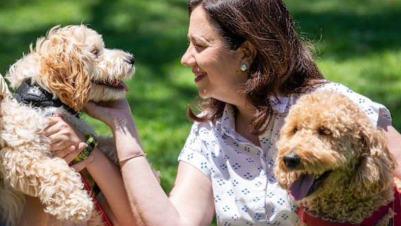 Ms Palaszczuk with her dog Winton (right) and her nephew’s dog Oakey before a press conference in Brisbane last year.