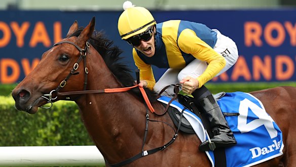 Jockey Jason Collett.