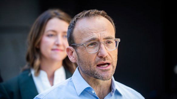 Greens leader Adam Bandt and Macnamara candidate Steph Hodgins-May.