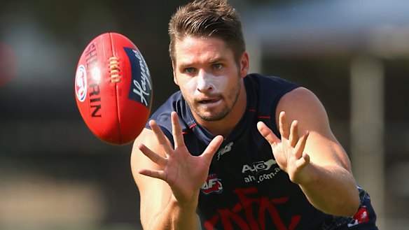 Jesse Hogan in his time with the Demons.