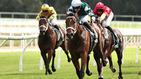 Racing returns to Gosford on Sunday.