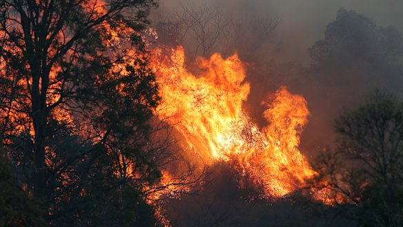 A bushfire rages near the rural town of Canungra in the Scenic Rim region.