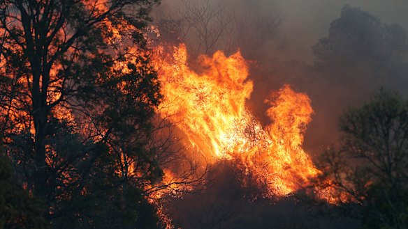 A bushfire rages near the rural town of Canungra in the Scenic Rim region.