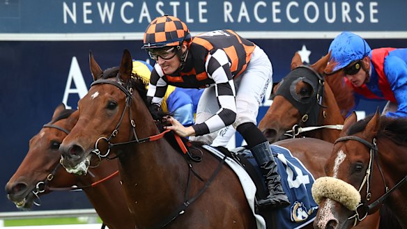 Race-by-race preview and tips for Newcastle on Thursday