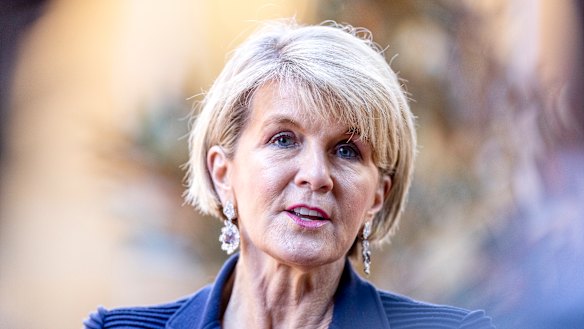 Foreign Minister Julie Bishop has decided to not contest the next election.