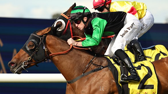 Josh Parr wins on Thunderlips.