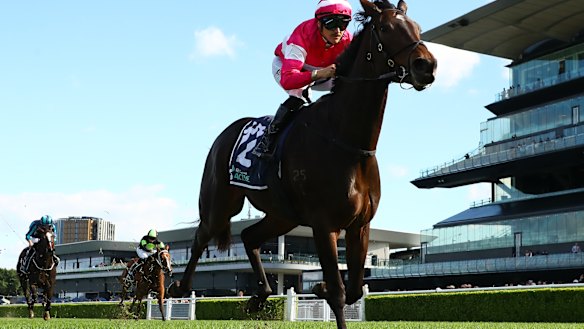 Braith Nock and Let’s Fly gap their rivals on Saturday at Randwick.