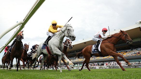 Zac Lloyd will ride the Ciaron Maher-trained Piggyback (right) in the group 1 Tancred Stakes.