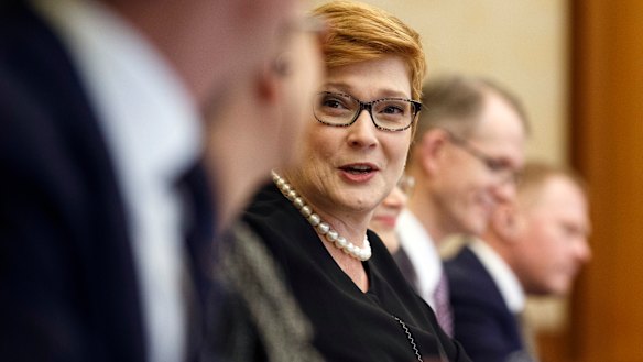 Liberal frontbencher Marise Payne agrees that the party needs to do more to improve female representation.