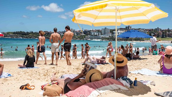 Wouldn’t we all rather be lazing at the beach than returning to work?