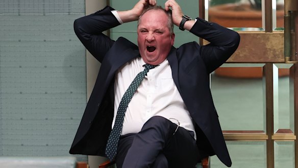 Barnaby Joyce in Parliament in February.
