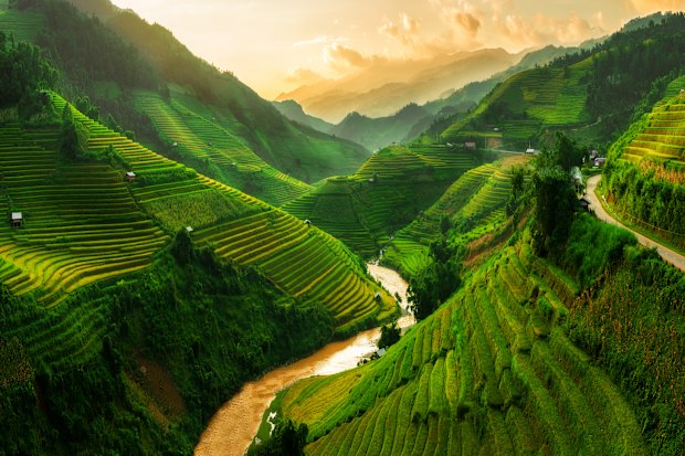 Terraced rice paddies in Sa Pa.