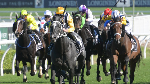 Destination Derby: Nobu will look to make it back-to-back wins at Randwick on Saturday.