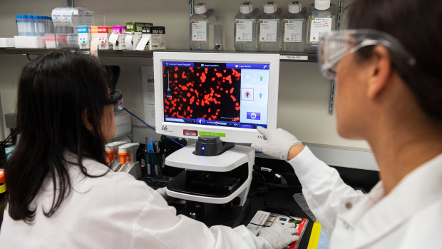 Scientists at work at the Novavax labs in Maryland.