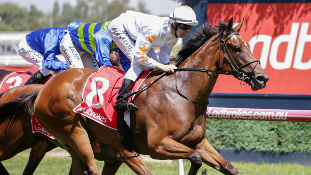 Last one in: Loving Gaby takes out the Chairman's Stakes at Caulfield.