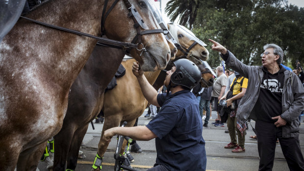 Police horses outside the NGV during the "Freedom Day" protest.