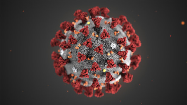 The Novel Coronavirus virus was identified as the cause of an outbreak of respiratory illness first detected in Wuhan, China.