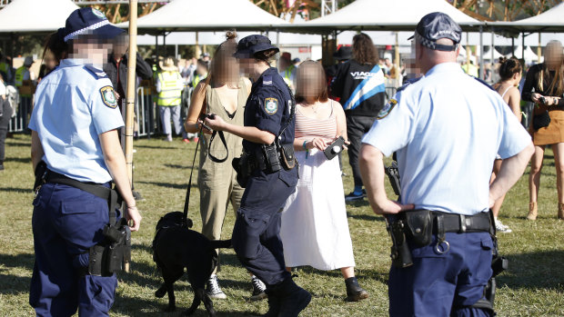 A police sniffer dog inspecting revellers at the 2019 Splendour in the Grass music festival in Byron Bay.
