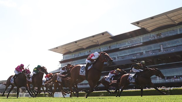 Countyourblessings, on the far right, edges out Dollar Magic.