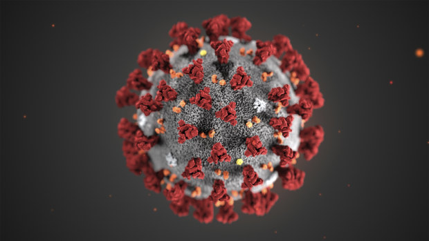 The novel coronavirus or COVID-19 pandemic has led to a rise in trademark applications in Australia using the name of the virus.