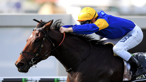 Locked in: Everest favourite Santa Ana Lane will run in the TAB slot in the $14 million race.