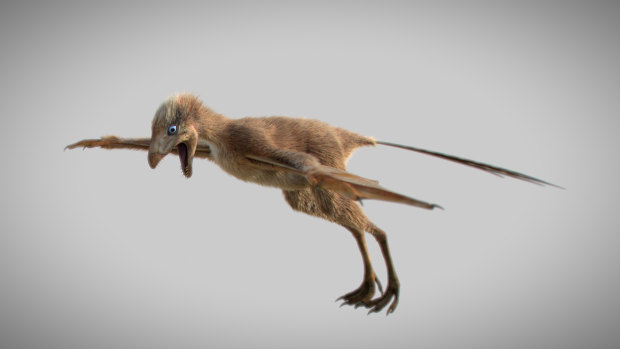 A reconstruction of Ambopteryx longibrachium.