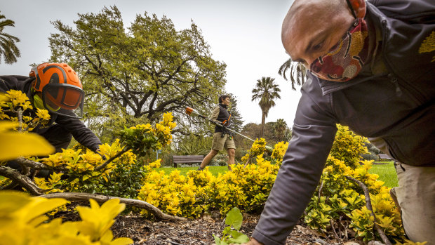Horticulturalist David Jenkins has been busy getting the Royal Botanic Gardens ready for re-opening on Monday.