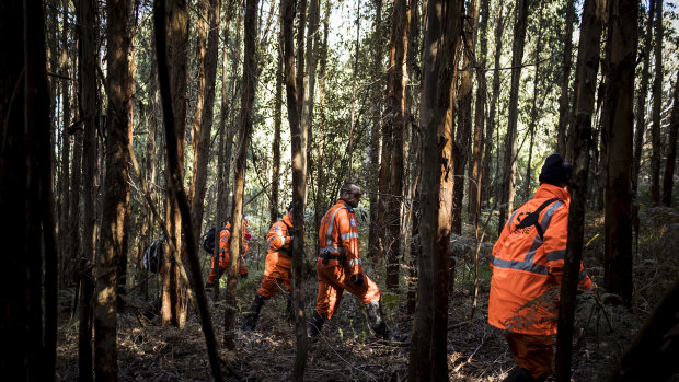 Police and SES searching for Will in the forest surrounding Mt Disappointment on Tuesday.